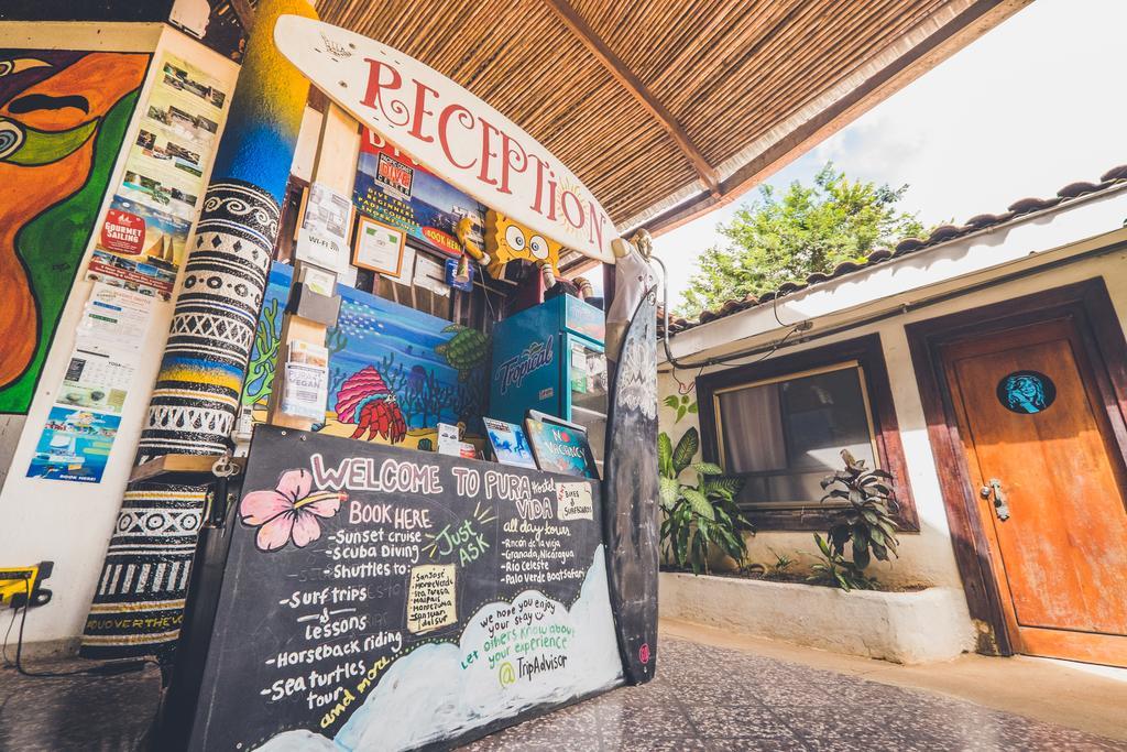 Pura Vida Hostel Tamarindo Zewnętrze zdjęcie
