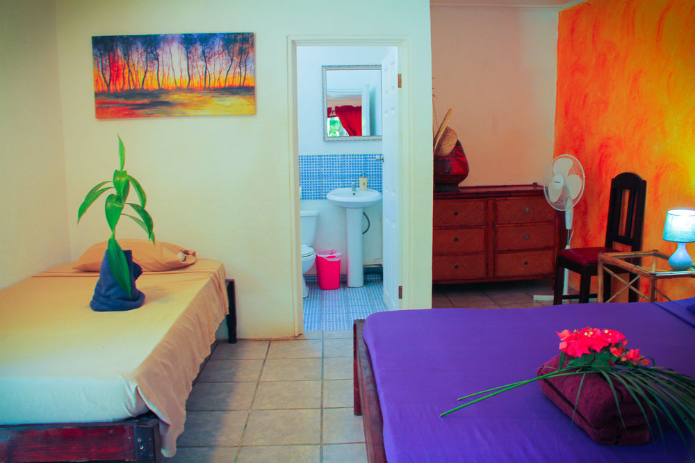 Pura Vida Hostel Tamarindo Zewnętrze zdjęcie